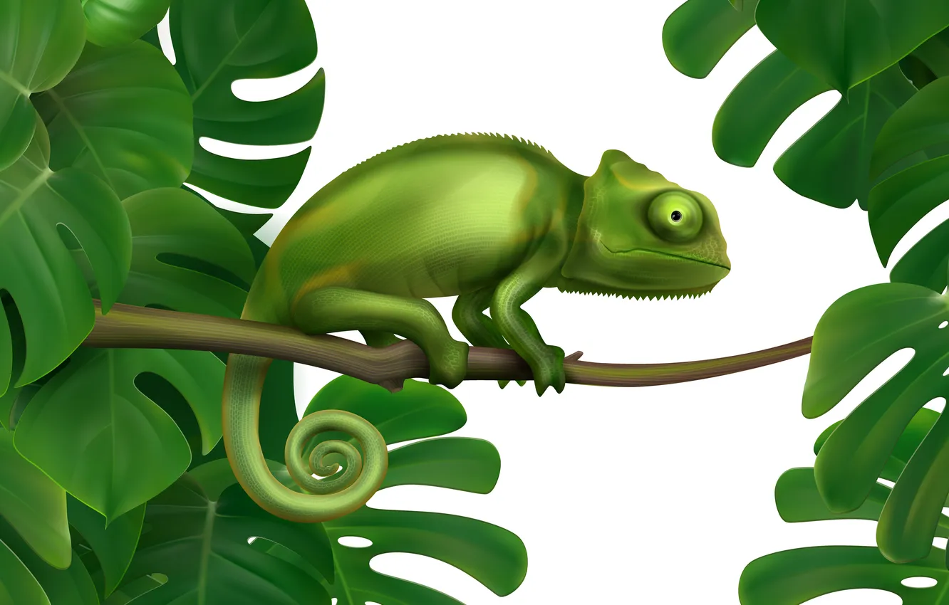 Photo wallpaper green, leaves, chamelion