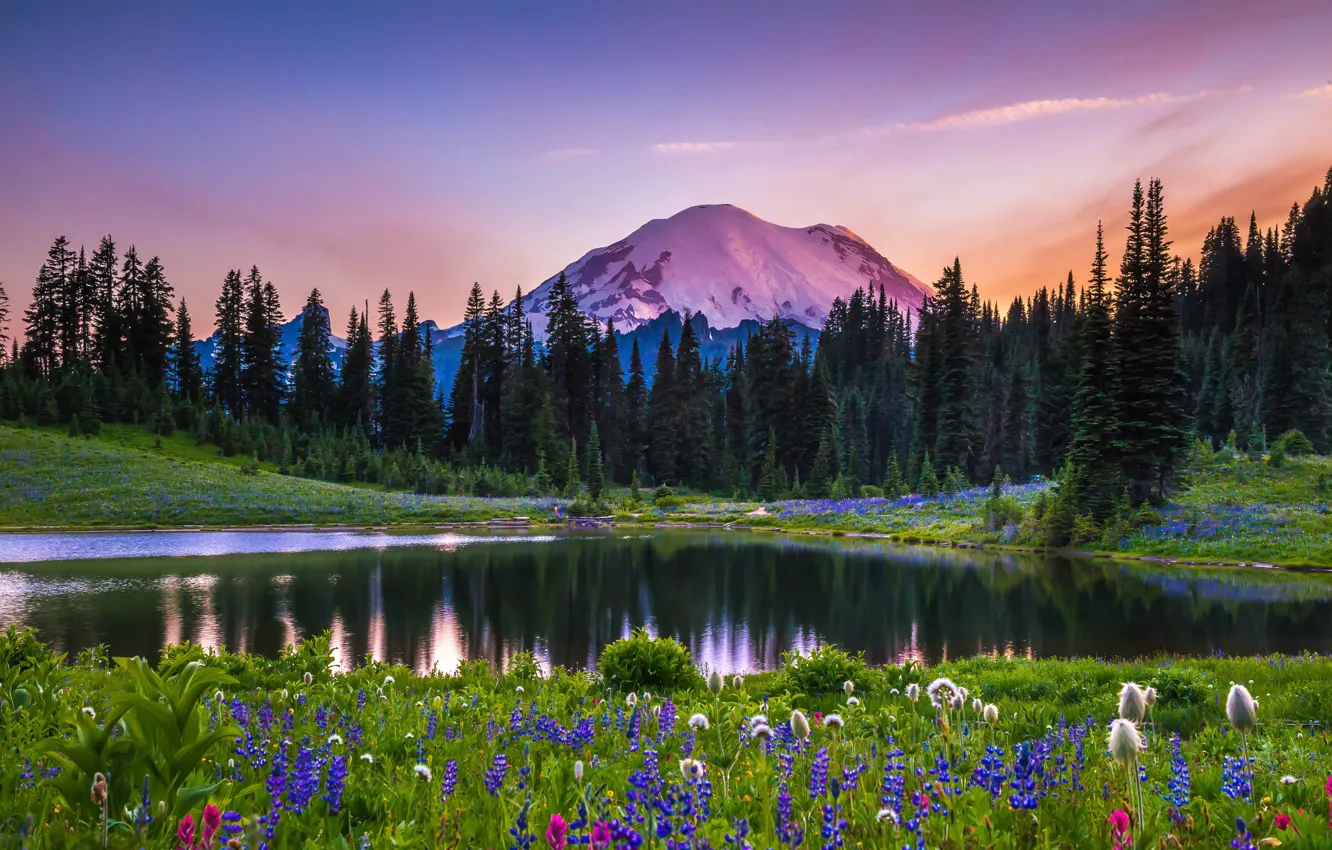 Photo wallpaper trees, landscape, sunset, flowers, mountains, nature, lake, USA