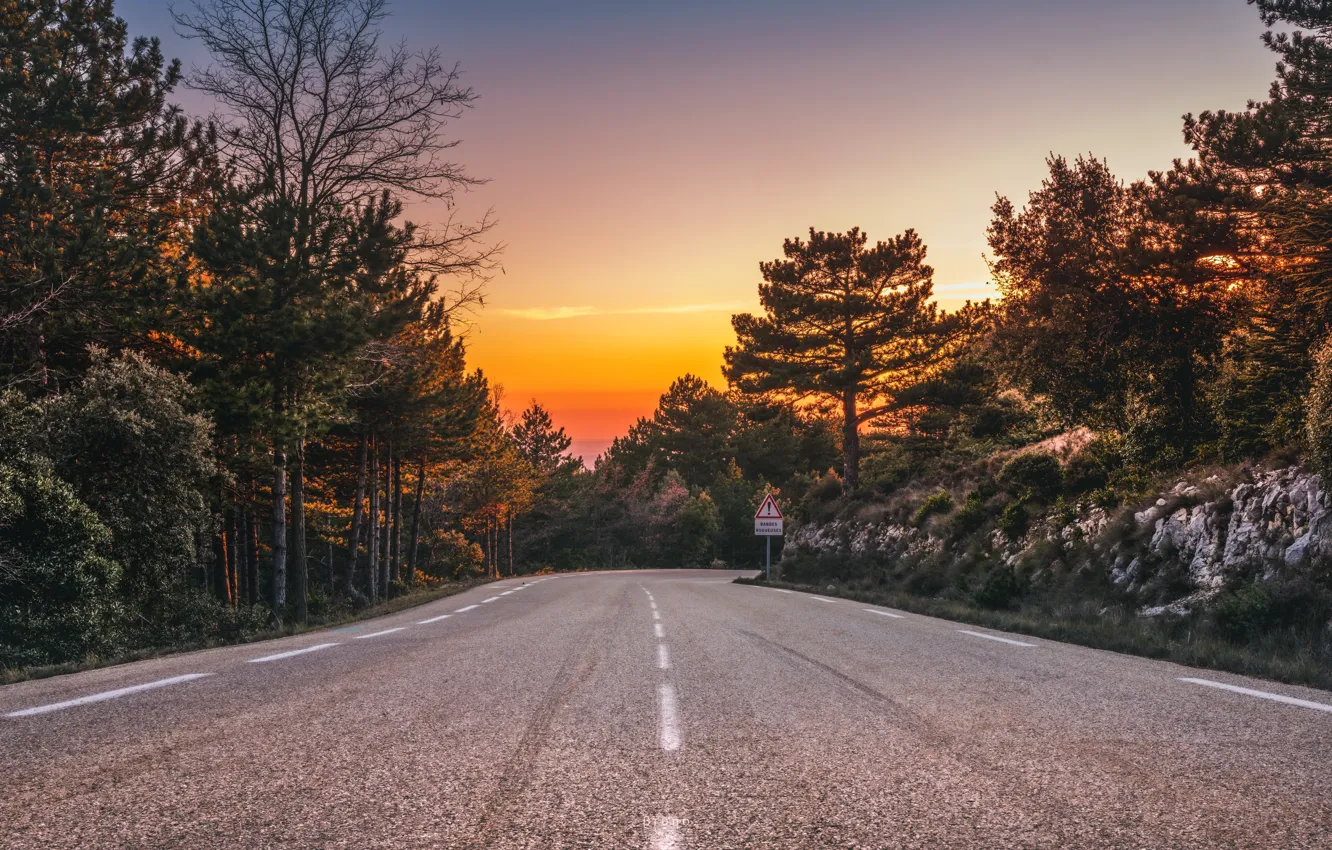 Photo wallpaper road, forest, sunset