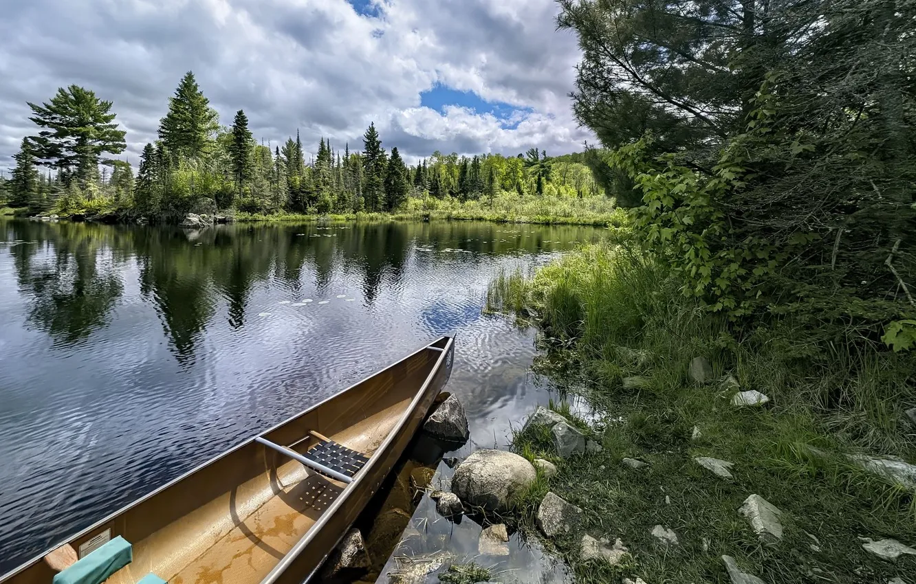 Photo wallpaper forest, nature, lake, boat