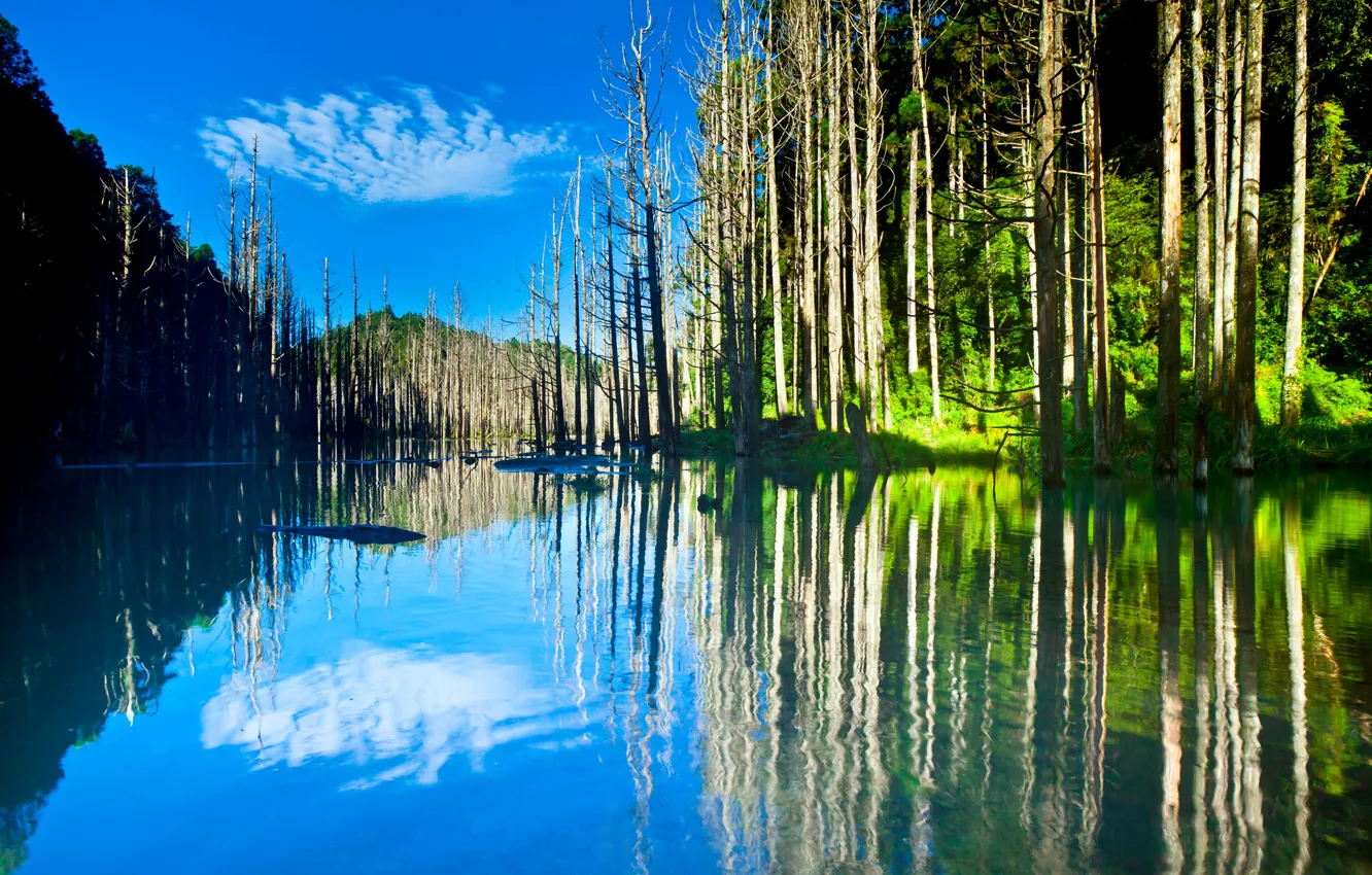 Photo wallpaper the sky, trees, mountains, lake, reflection