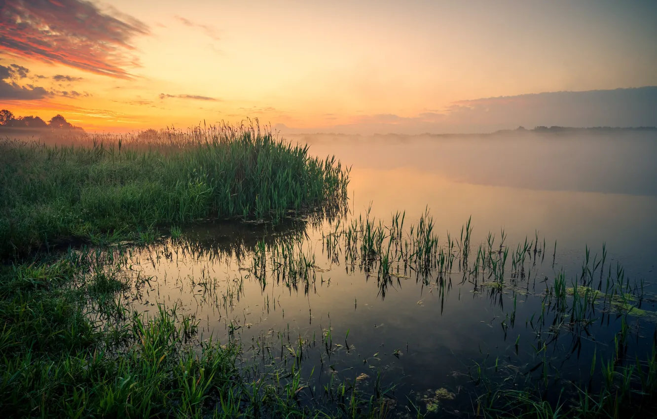 Photo wallpaper summer, the sky, grass, clouds, fog, lake, dawn, shore