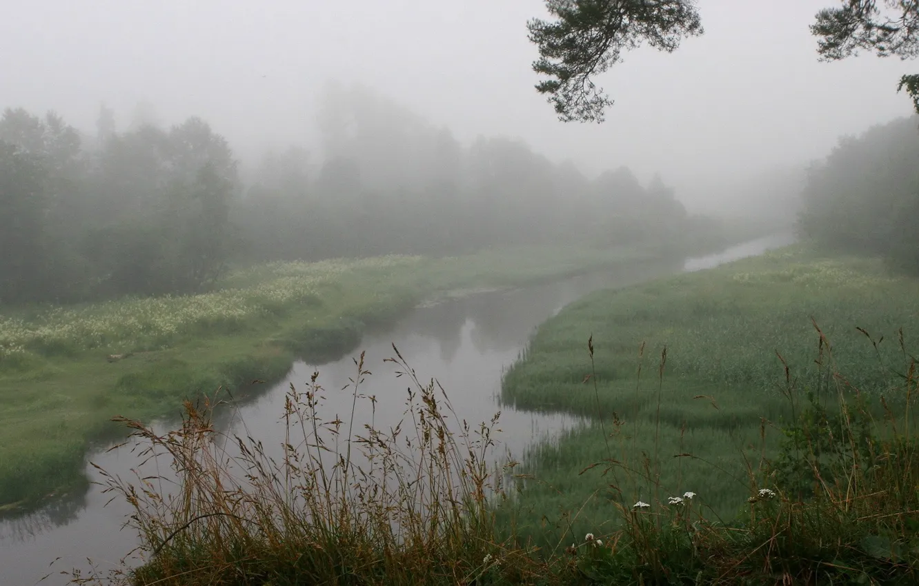 Photo wallpaper grass, fog, river