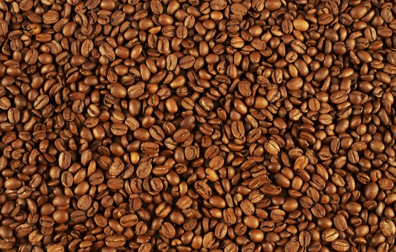 Photo wallpaper pattern, coffee beans, many