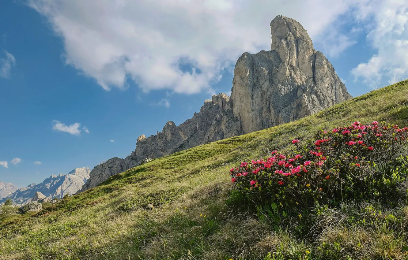 Photo wallpaper summer, grass, clouds, flowers, mountains, rocks, hills, tops