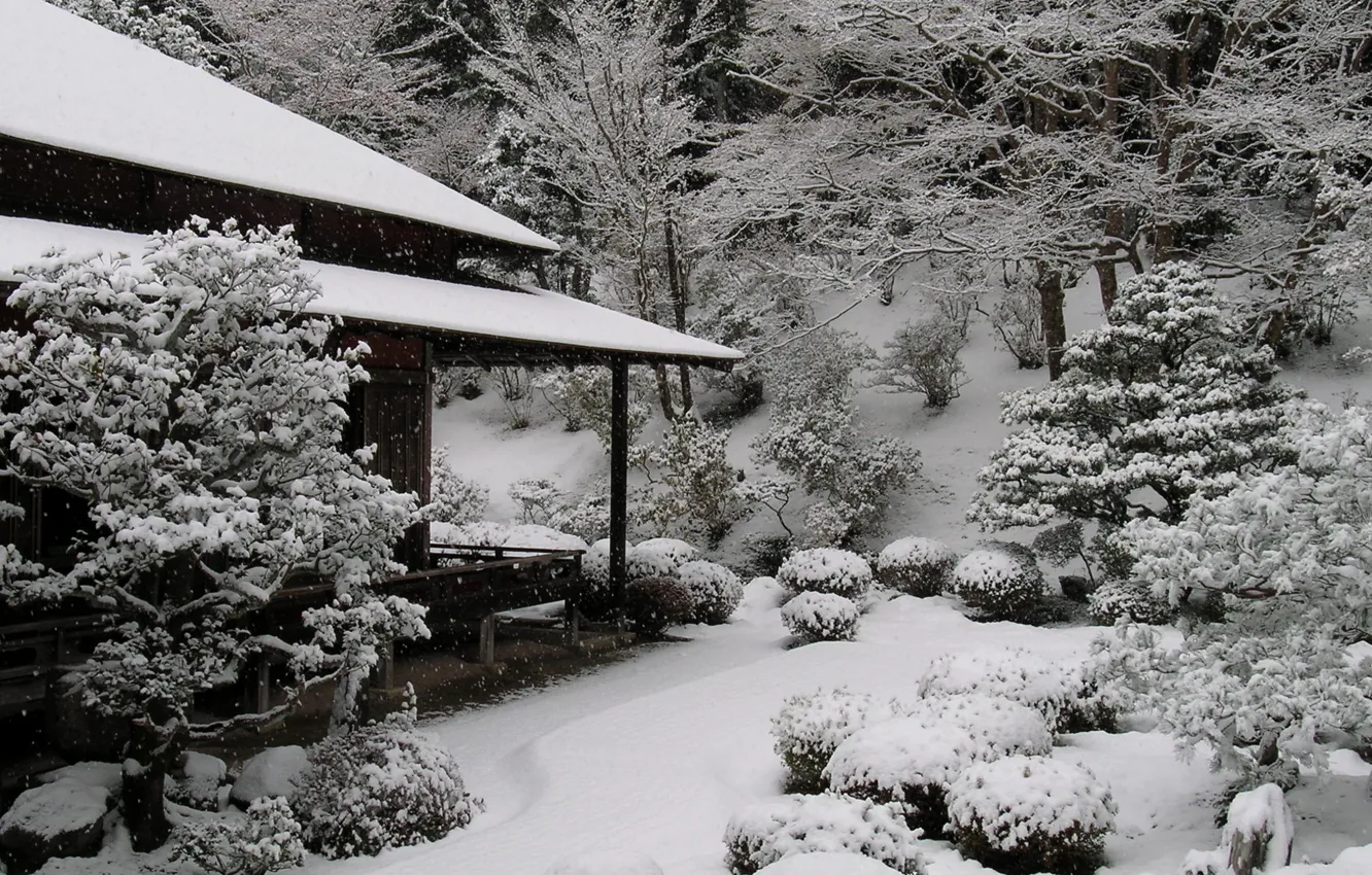 Photo wallpaper Japan, House, House, Japan, Winter Garden, Snow Trees, Snow Trees, Winter Garden