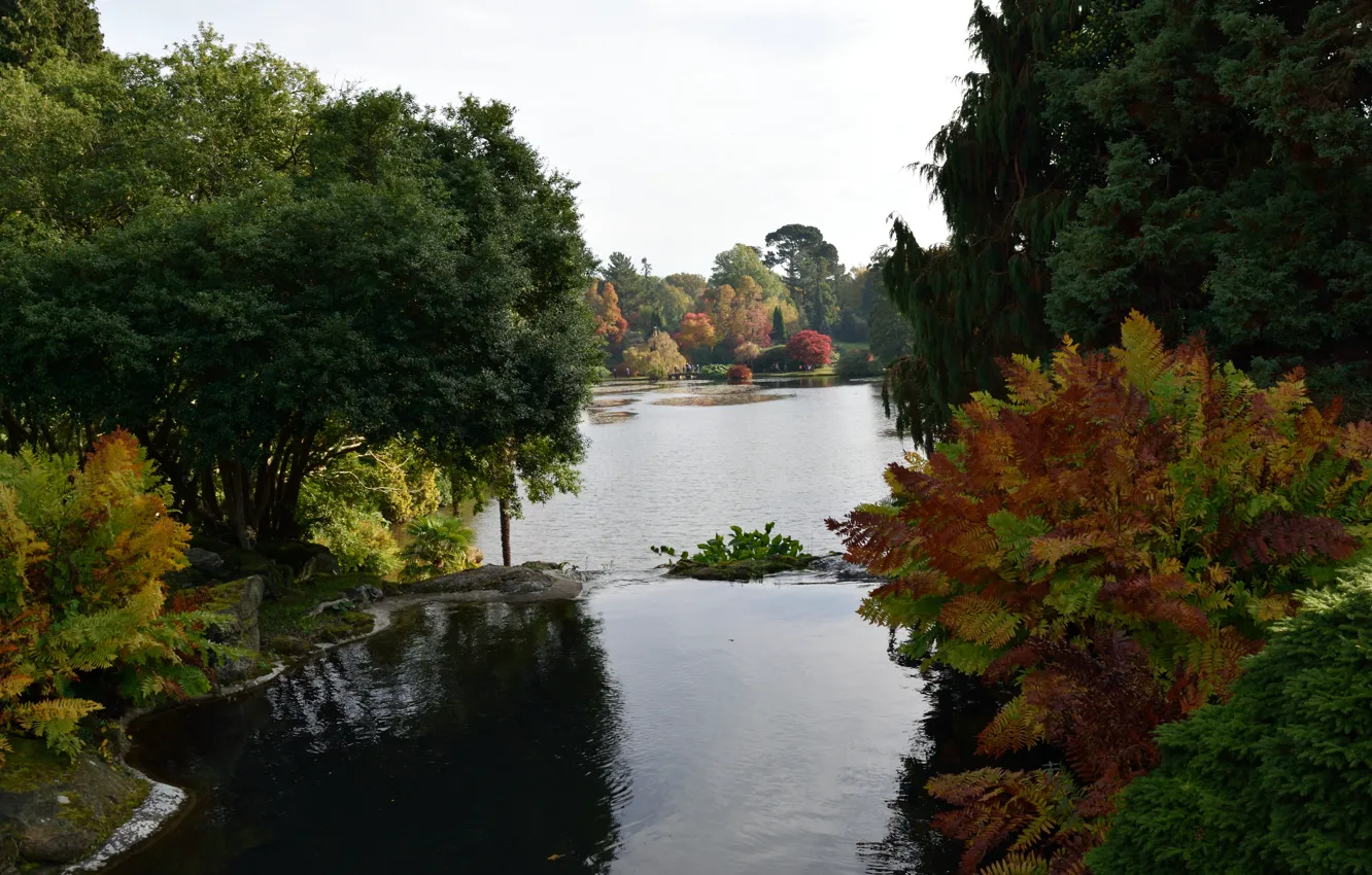 Photo wallpaper autumn, nature, lake, England, autumn, lake, England, fall