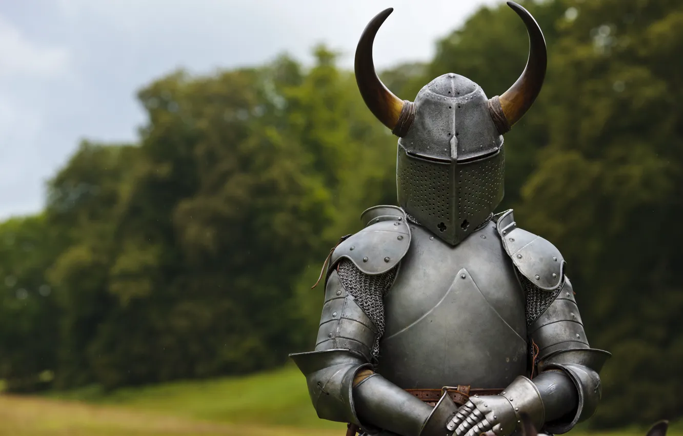 Photo wallpaper armor, horns, helmet, knight, hollow crown