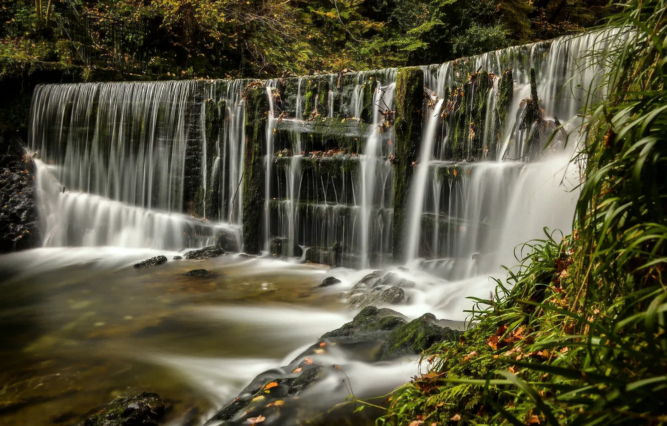 Photo wallpaper forest, England, waterfall, cascade, England, The lake district, Lake District, Lake District