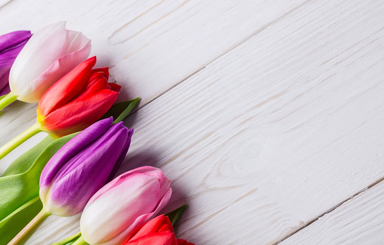 Photo wallpaper flowers, bouquet, colorful, tulips, red, white, wood, flowers