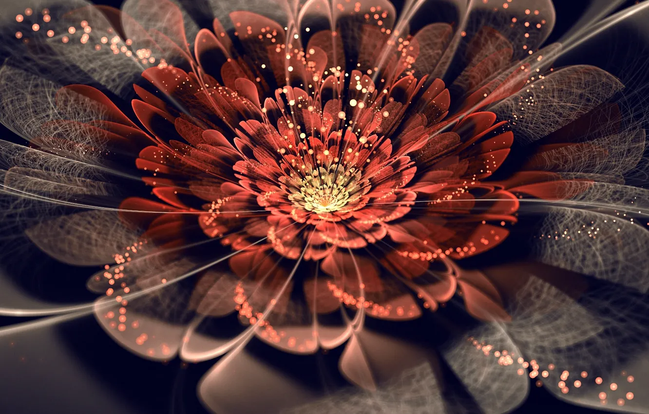 Photo wallpaper flowers, abstraction, mesh, web, lights, petals, art, sparks