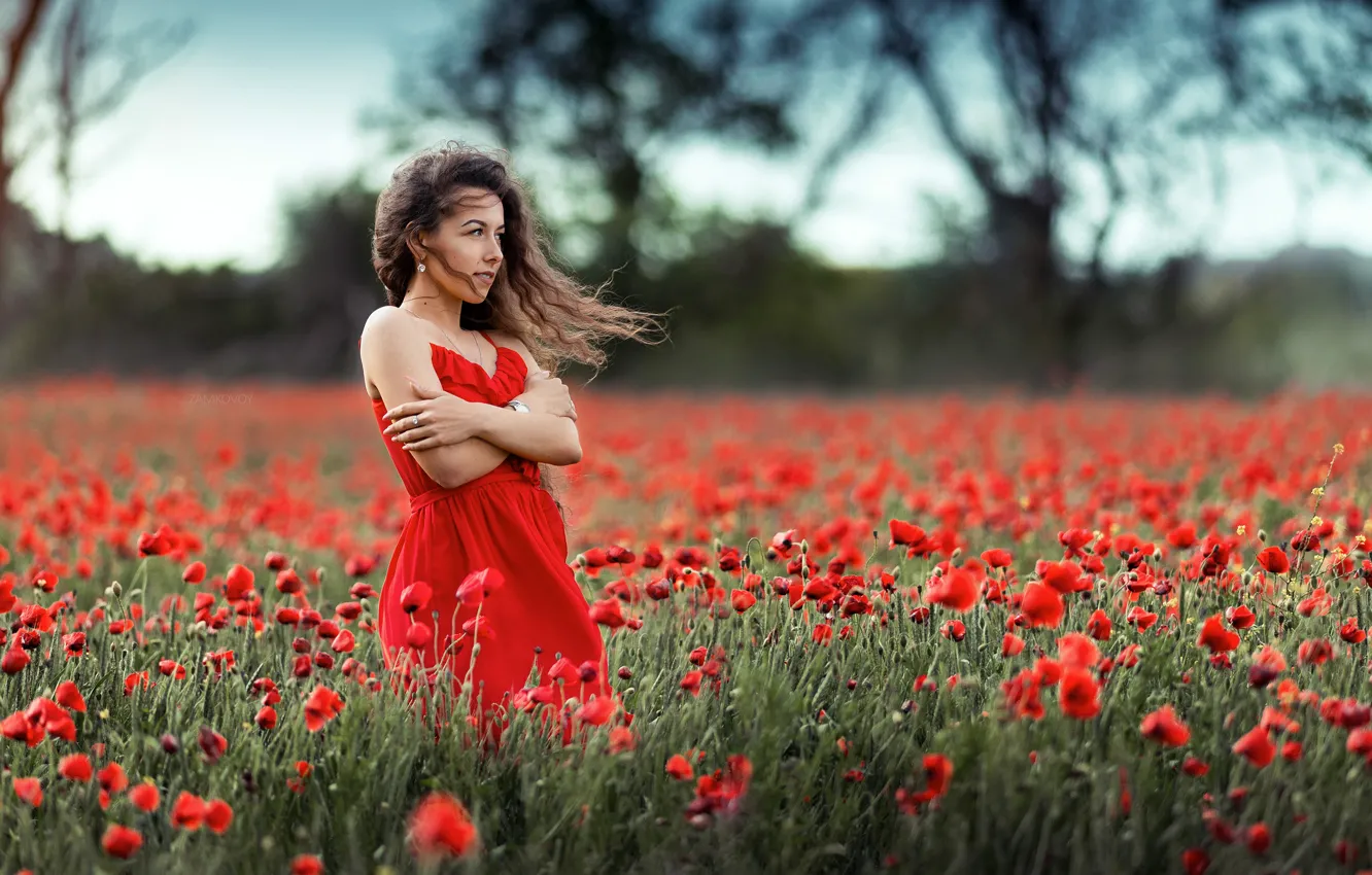 Photo wallpaper field, summer, girl, flowers, nature, Maki, dress, profile