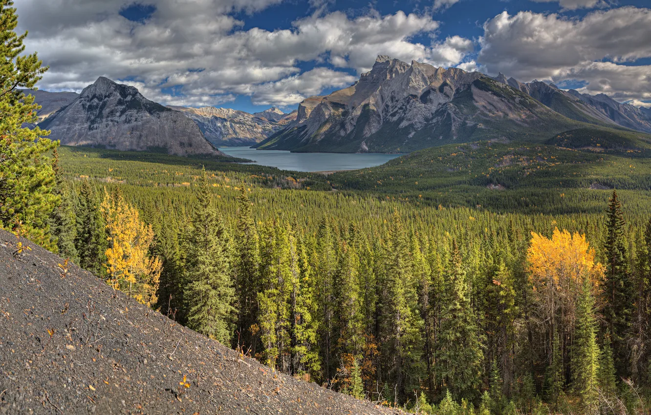 Photo wallpaper forest, trees, mountains, lake, Alberta, Canada, Banff