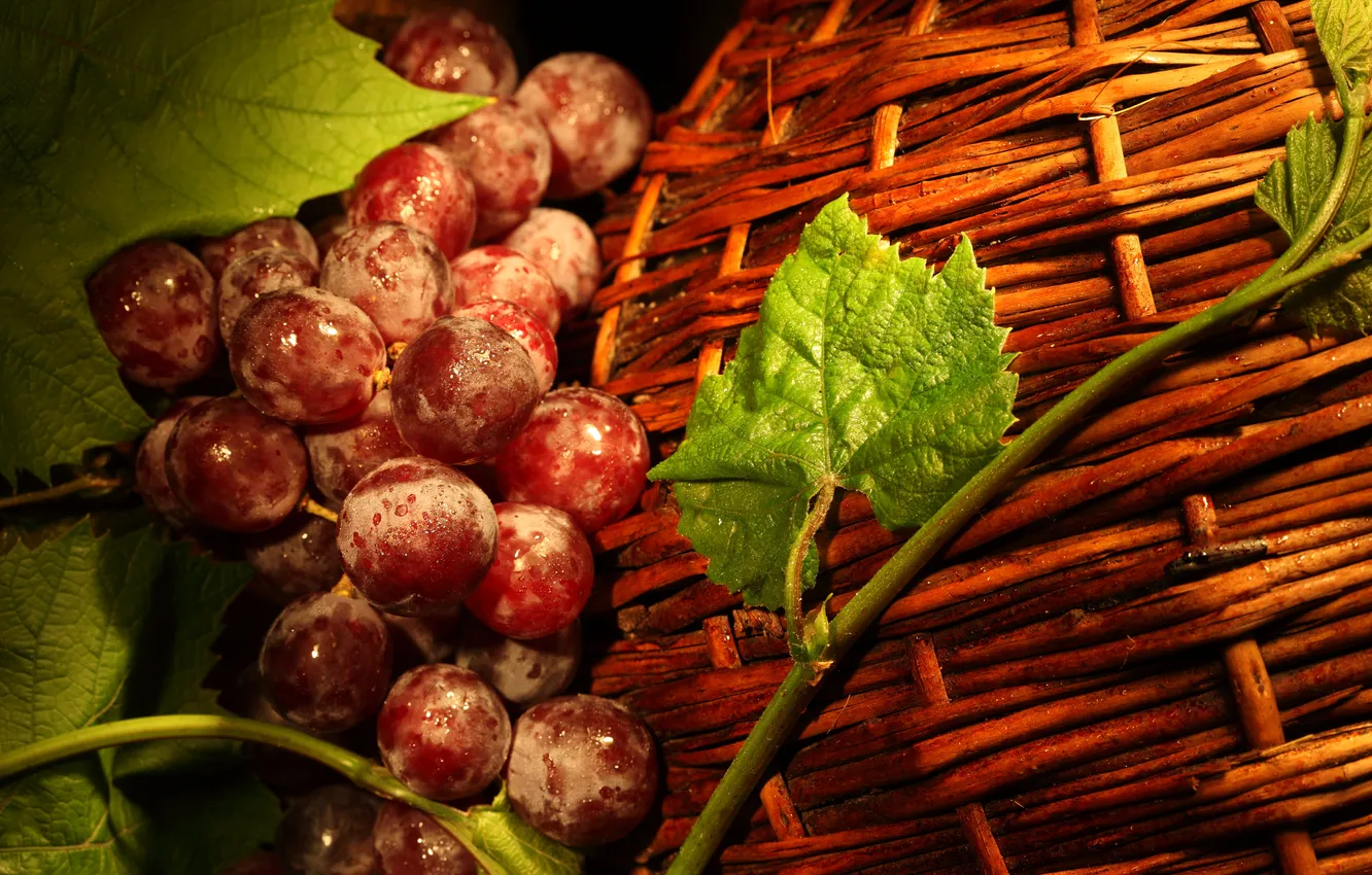 Photo wallpaper leaves, red, berries, basket, grapes, vine
