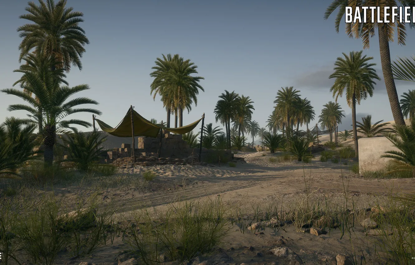 Photo wallpaper palm trees, tent, oasis, Battlefield 1, Suez