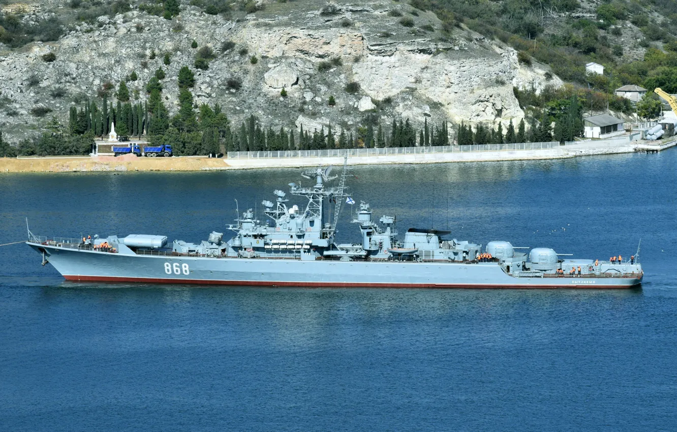 Photo wallpaper Bay, patrol, inquisitive