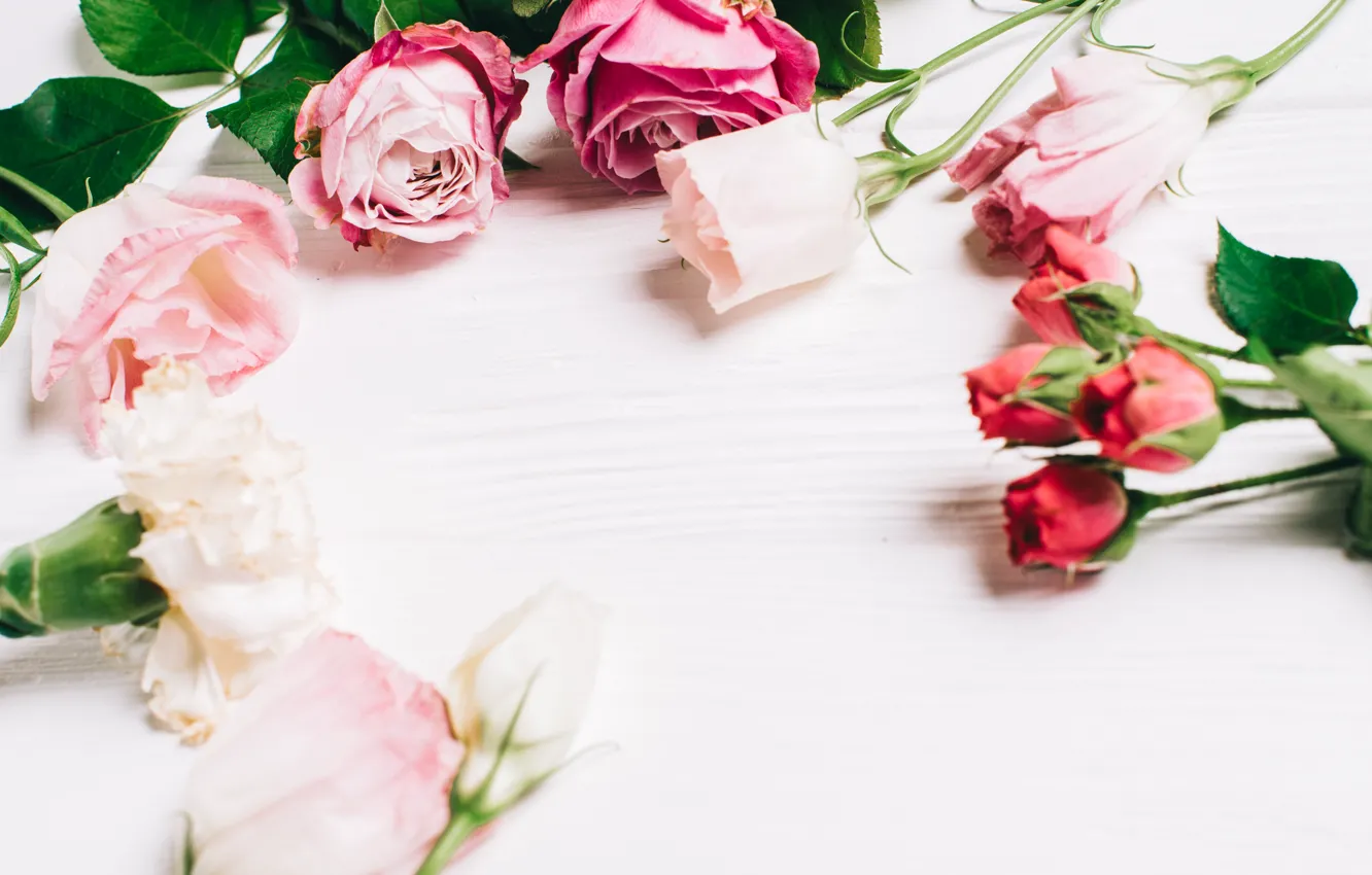 Photo wallpaper flowers, roses, buds