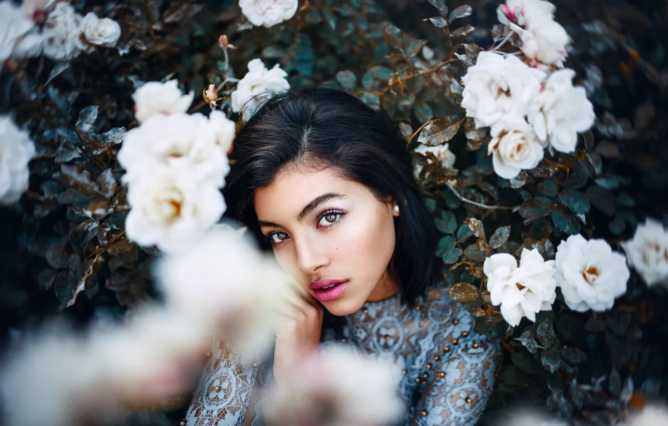 Photo wallpaper girl, flowers, roses, Ignacia