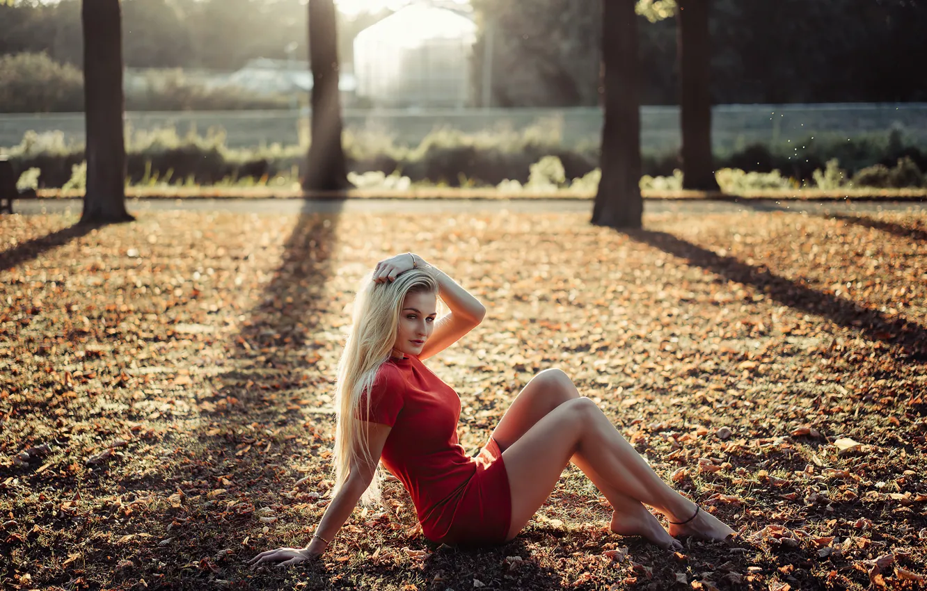 Photo wallpaper look, girl, the sun, nature, Park, hair, dress, blonde