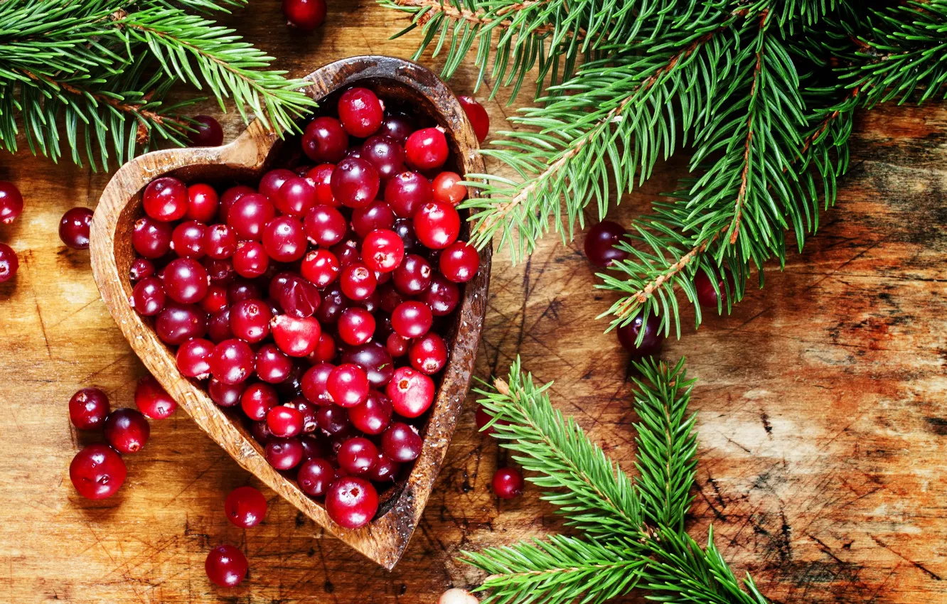 Photo wallpaper branches, berries, spruce, cranberry