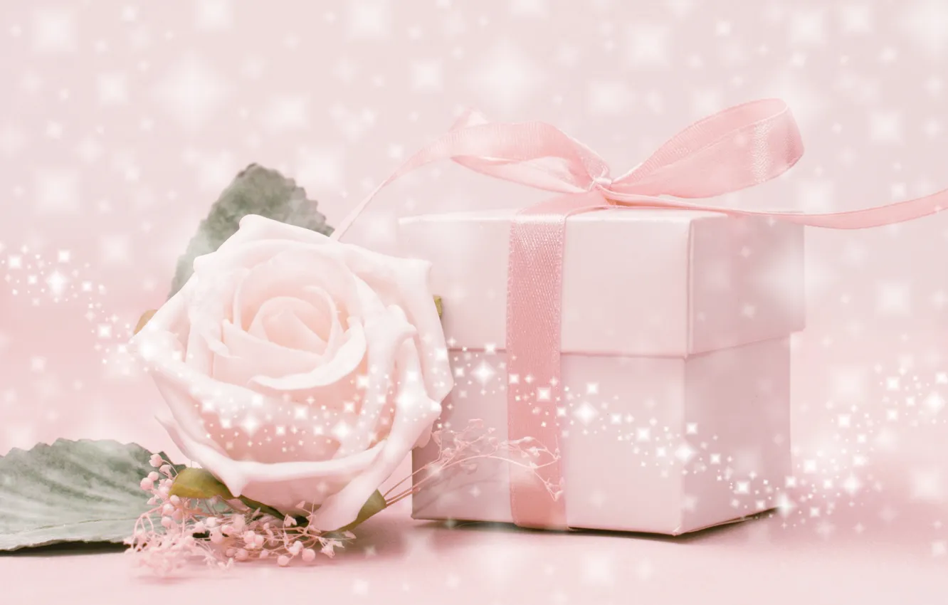 Photo wallpaper flower, rose, pink background, box. tape