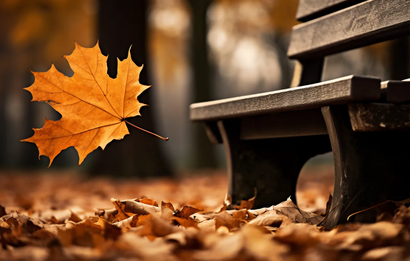 Photo wallpaper autumn, leaves, bench, Park, trees, park, autumn, leaves