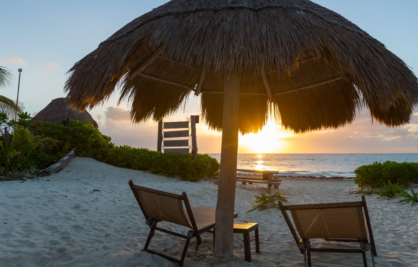 Photo wallpaper sand, sea, beach, sunset, palm trees, shore, beach, sea