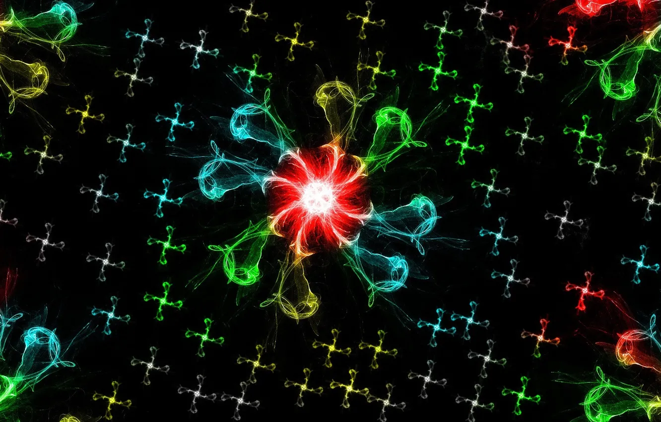 Photo wallpaper flower, pattern, fractal, symmetry