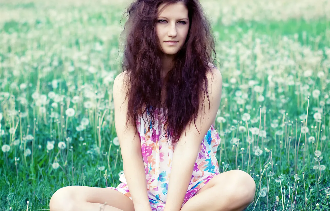 Photo wallpaper field, grass, look, green, dandelion, brown hair