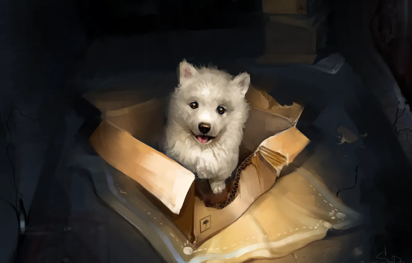 Photo wallpaper box, puppy, by SalamanDra-S