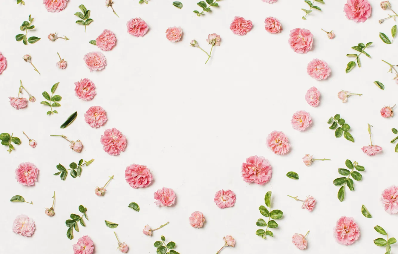 Photo wallpaper flowers, background, heart, flower, white, leaves, decor