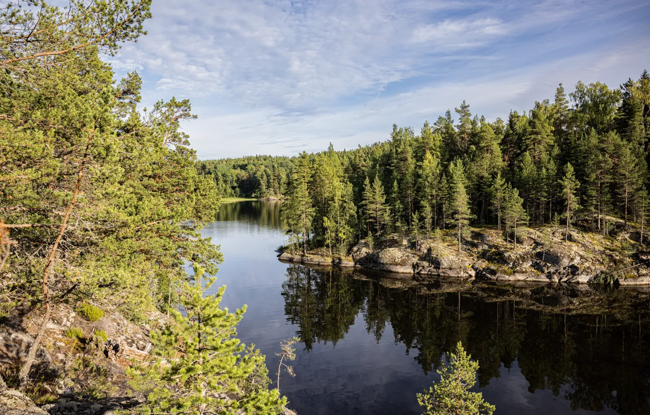 Photo wallpaper forest, summer, lake, rocks, Lake Ladoga, Karelia, Ladoga, Ladoga Skerries