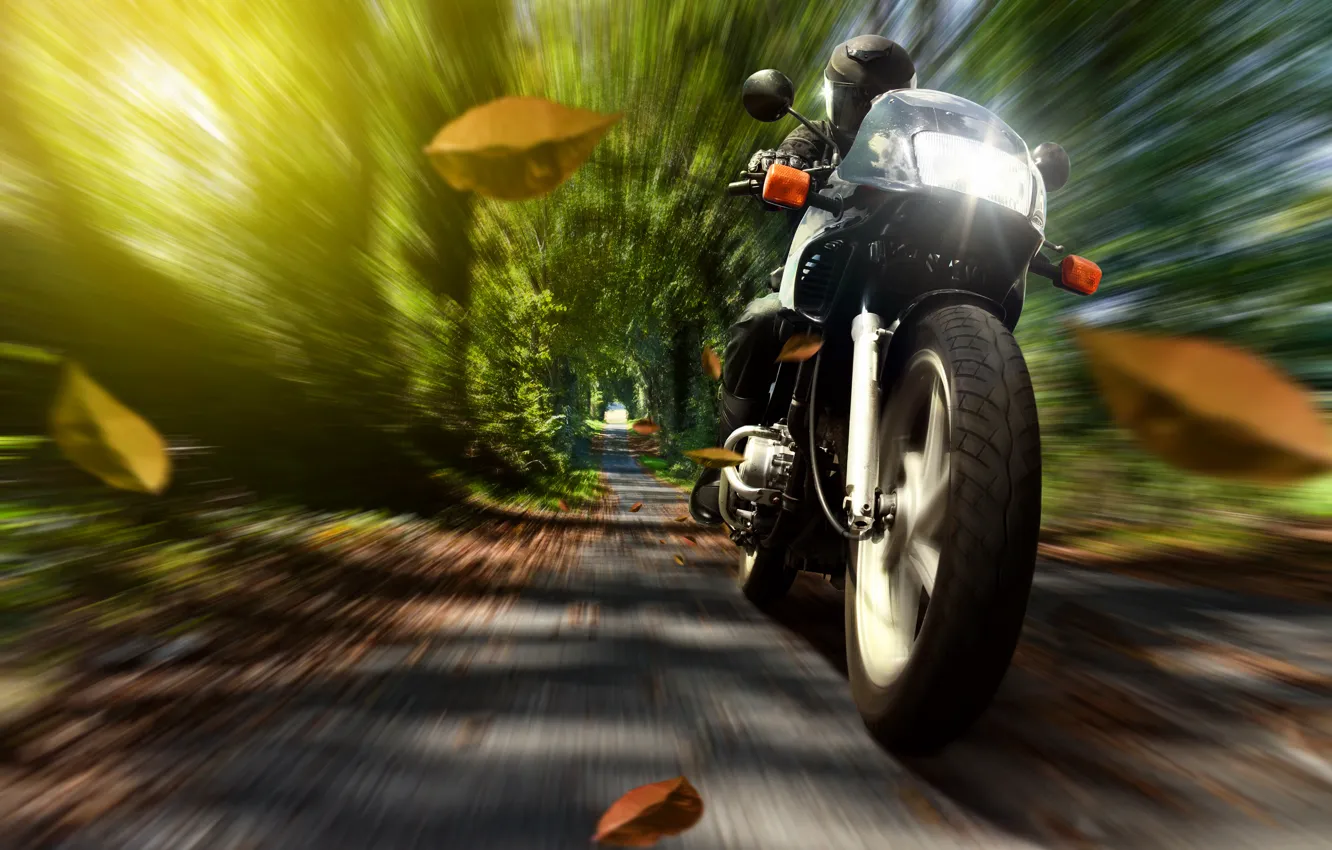 Photo wallpaper autumn, leaves, nature, speed, motorcycle, helmet, motorcyclist