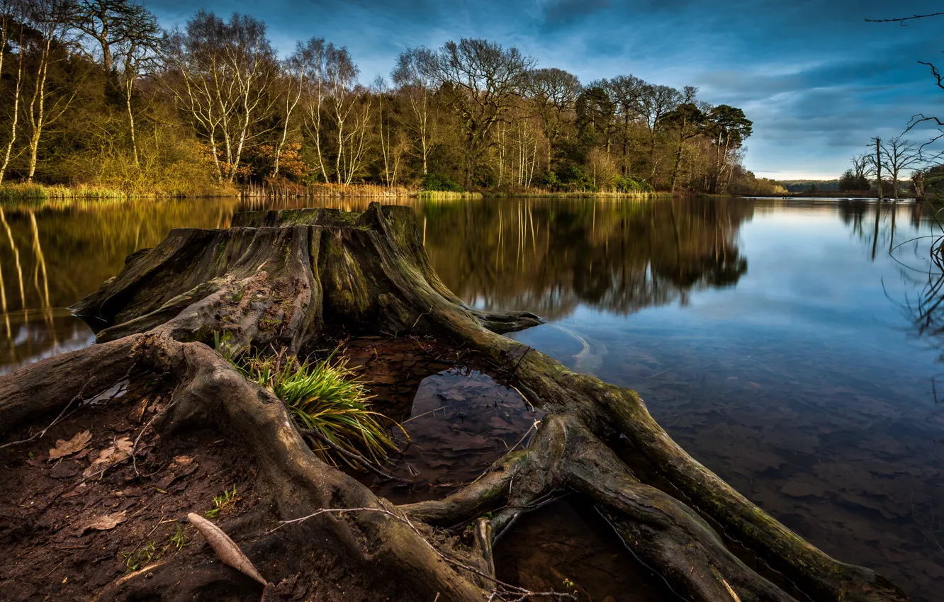 Photo wallpaper landscape, lake, stump