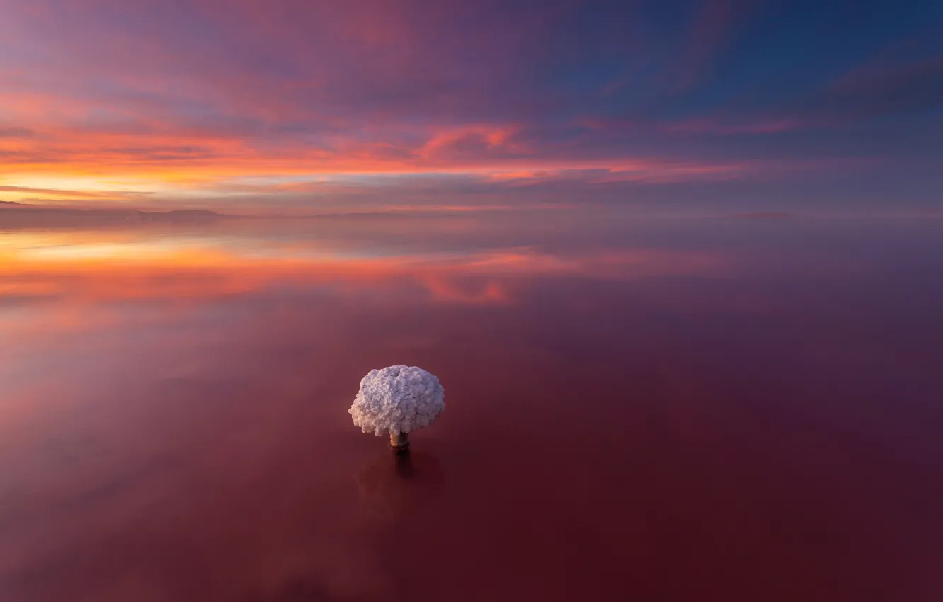 Photo wallpaper landscape, nature, color