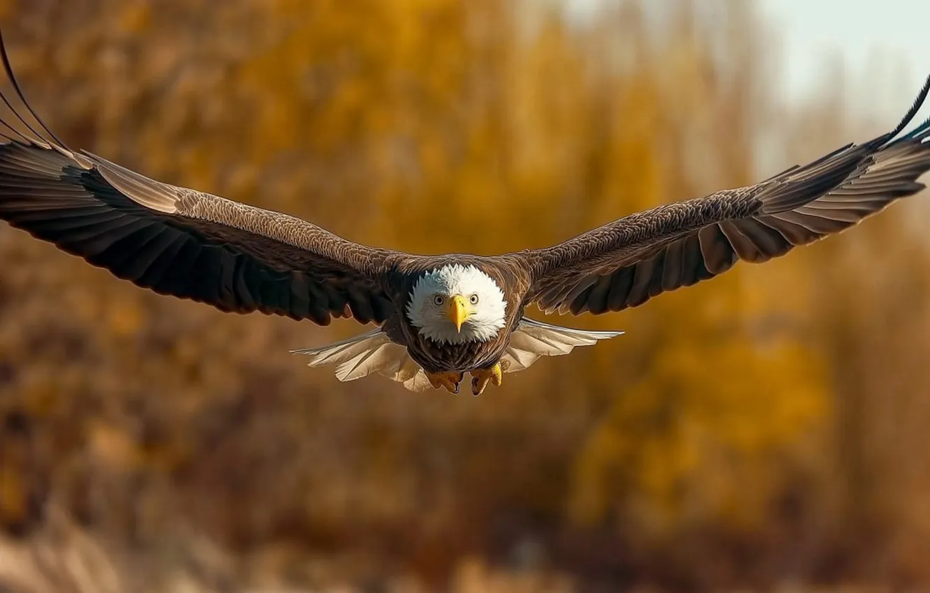 Photo wallpaper flight, bird, eagle, wings, generated by AI