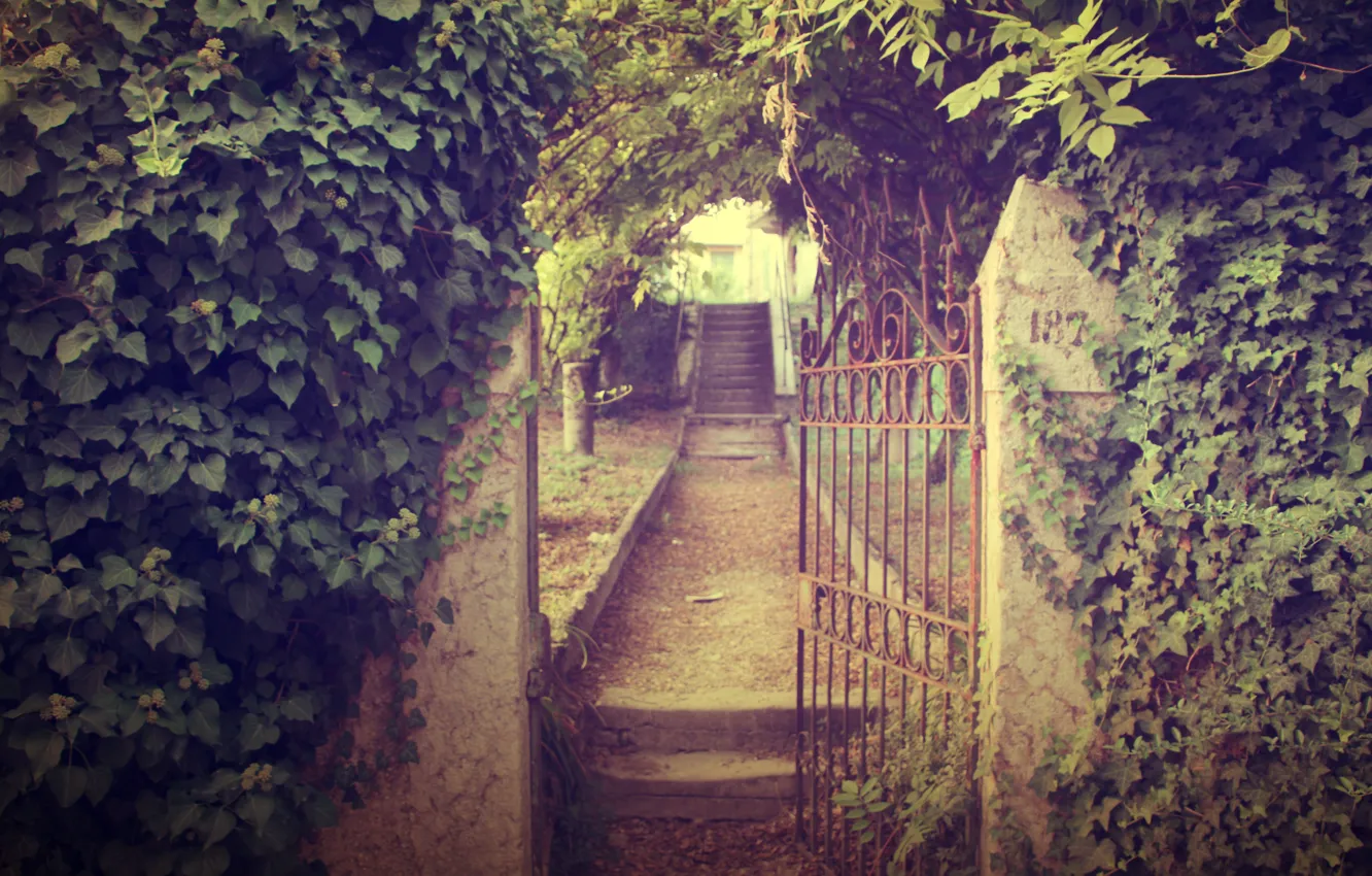 Photo wallpaper road, leaves, nature, wall, plants, gate, garden, stage