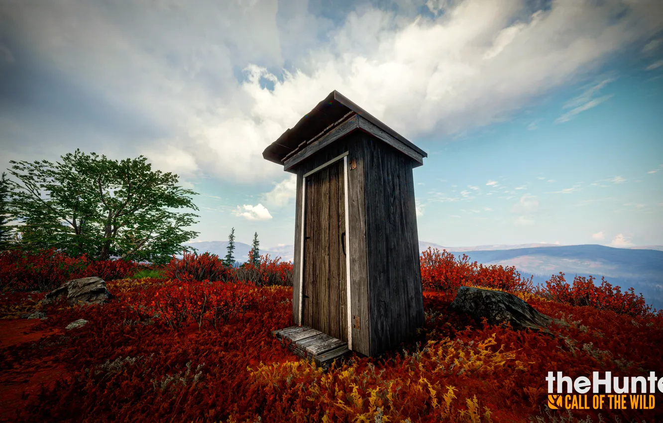 Photo wallpaper nature, the game, toilet, theHunter Call of the Wild™
