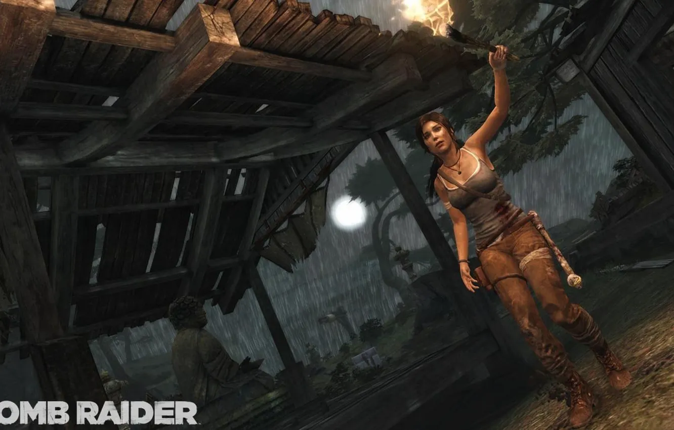 Photo wallpaper girl, torch, Tomb Raider, lara croft