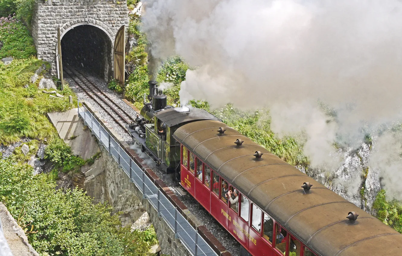 Photo wallpaper smoke, train, the engine, plants, railroad, the tunnel, smoke, tunnel