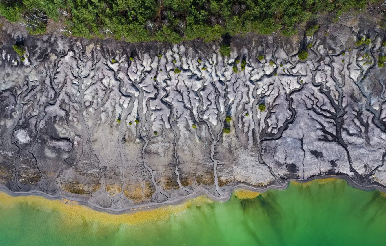 Photo wallpaper forest, beach, water, trees, lake, river, pattern, dirt