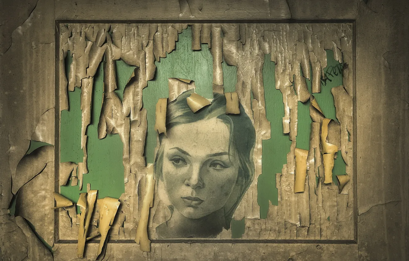 Photo wallpaper background, wall, picture