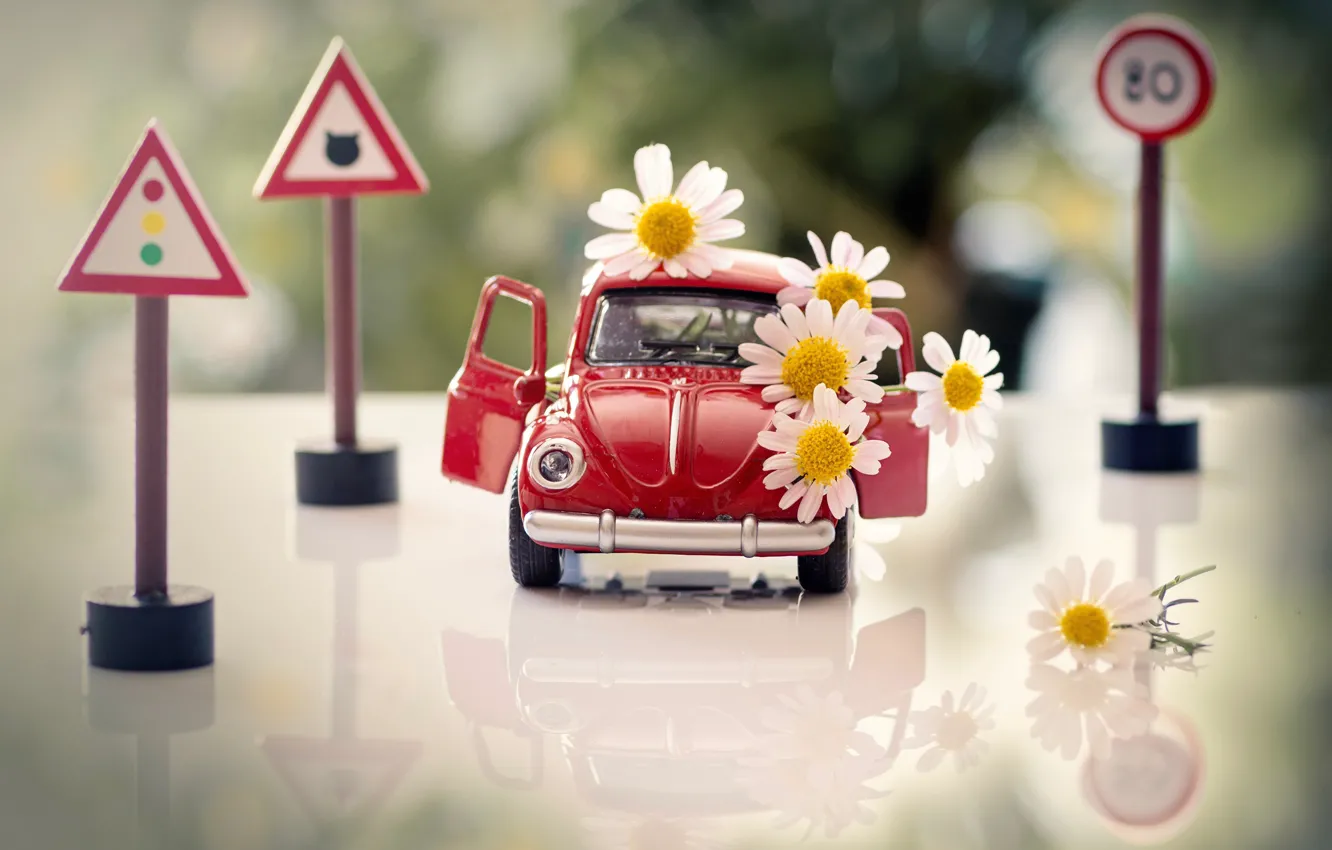 Photo wallpaper machine, auto, light, flowers, red, reflection, table, toy