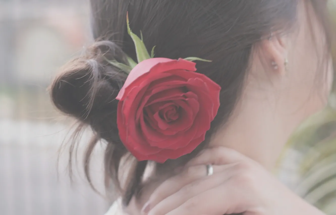 Photo wallpaper girl, flowers, mood, hair, roses, brunette, hairstyle, the back of the head