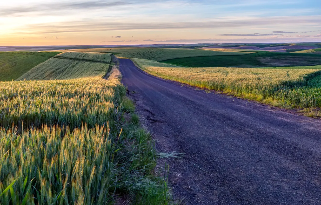 Photo wallpaper road, field, the sky