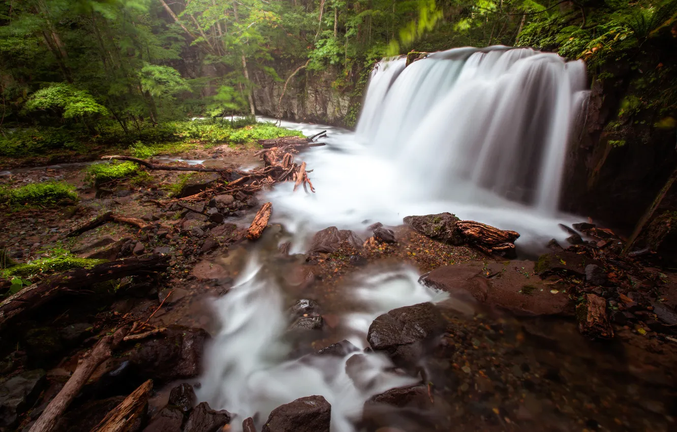 Photo wallpaper forest, stones, shore, waterfall, stream
