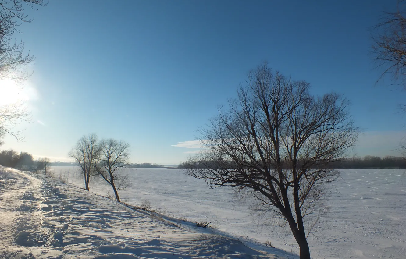 Photo wallpaper winter, snow, tree, promenade, Volga