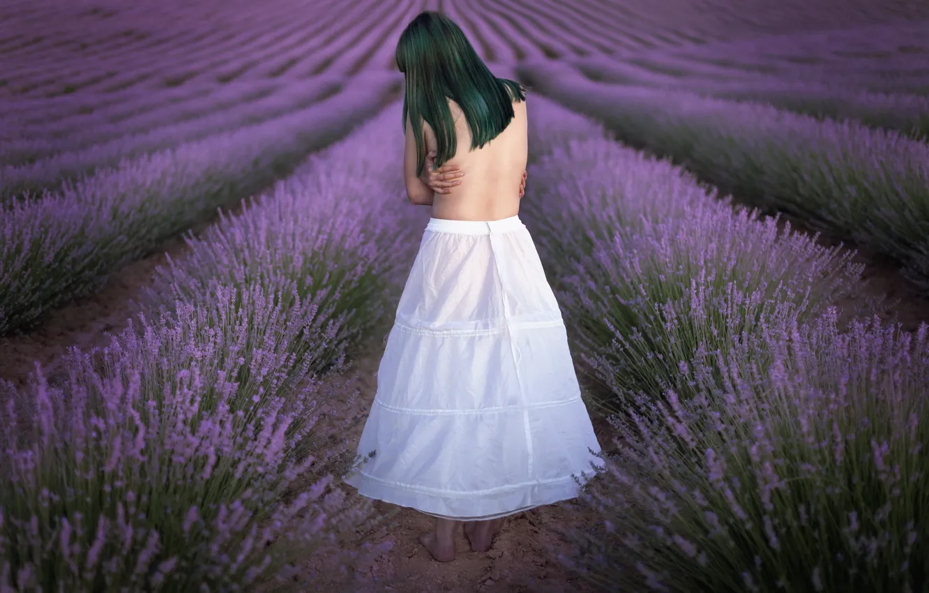 Photo wallpaper field, girl, lavender