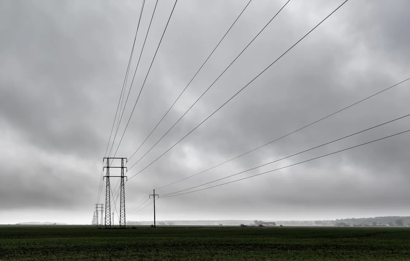 Photo wallpaper field, morning, power lines