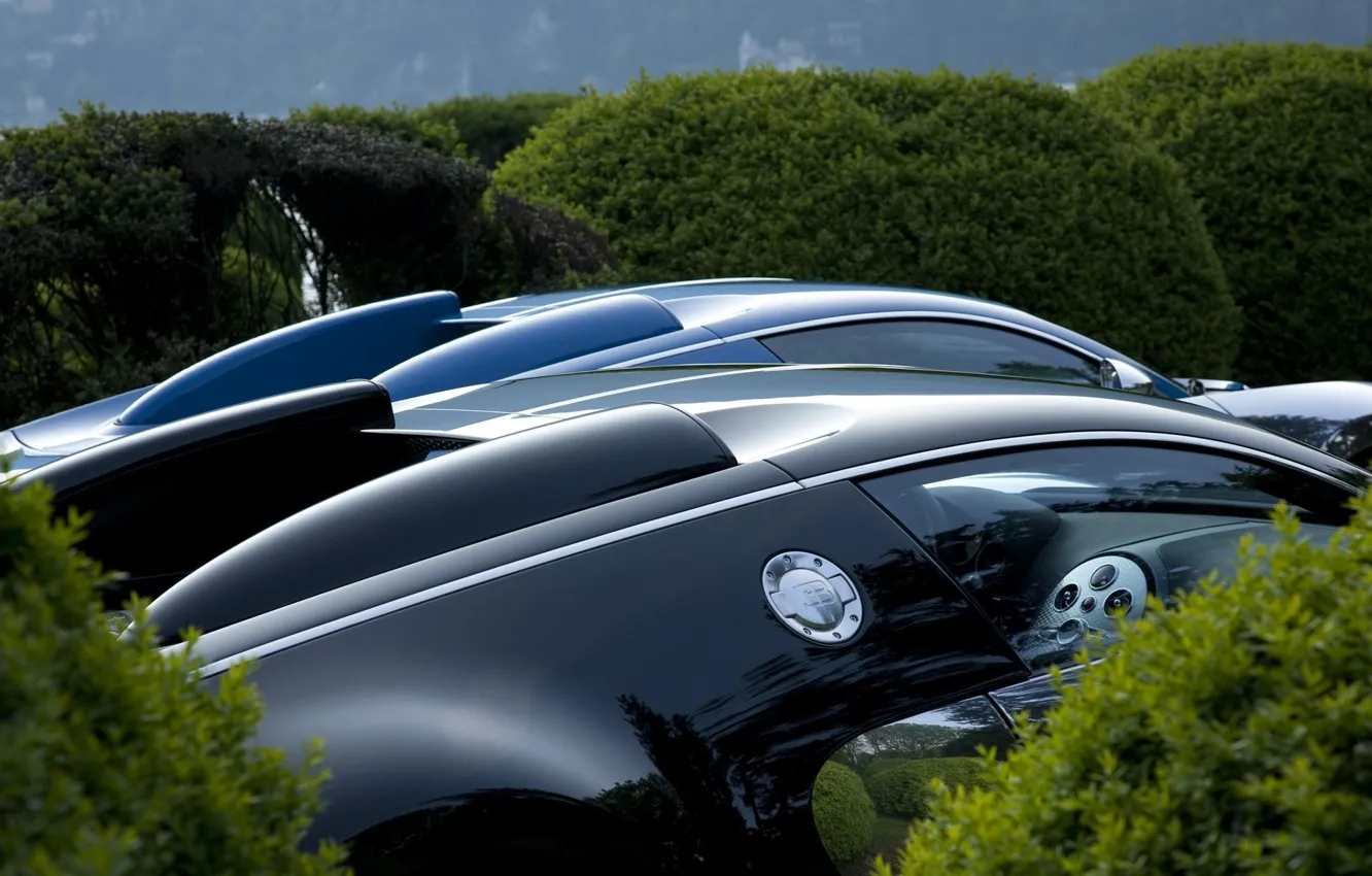 Photo wallpaper auto, Bugatti, the bushes